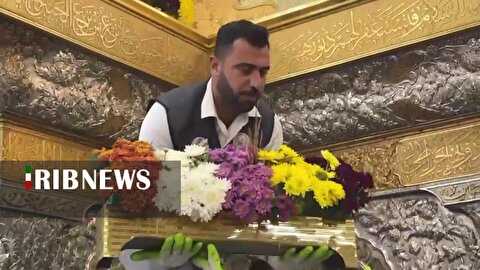 آیین گل آرایی ضریح مقدس عتبات عالیات در کربلای معلی+فیلم